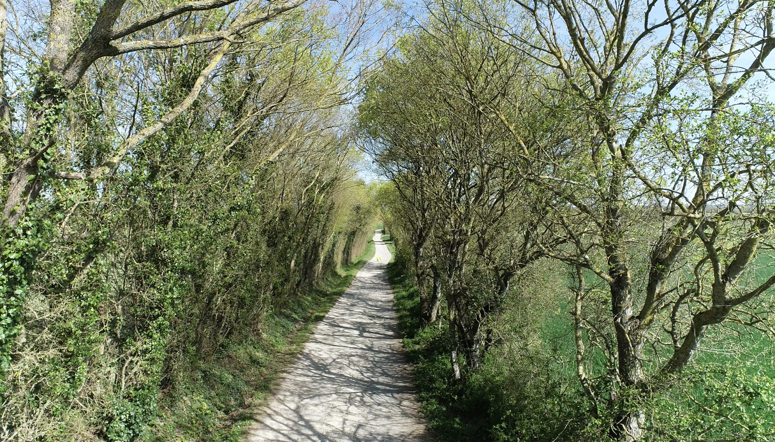 Chemin Fauteuil